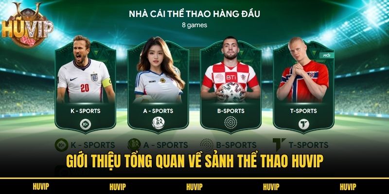 Giới thiệu tổng quan về sảnh thể thao HUVIP